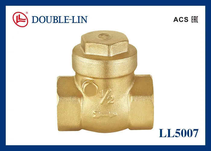 VALVULA CHECK SWING ASIE/GOMA 1 - DOUBLE-LIN