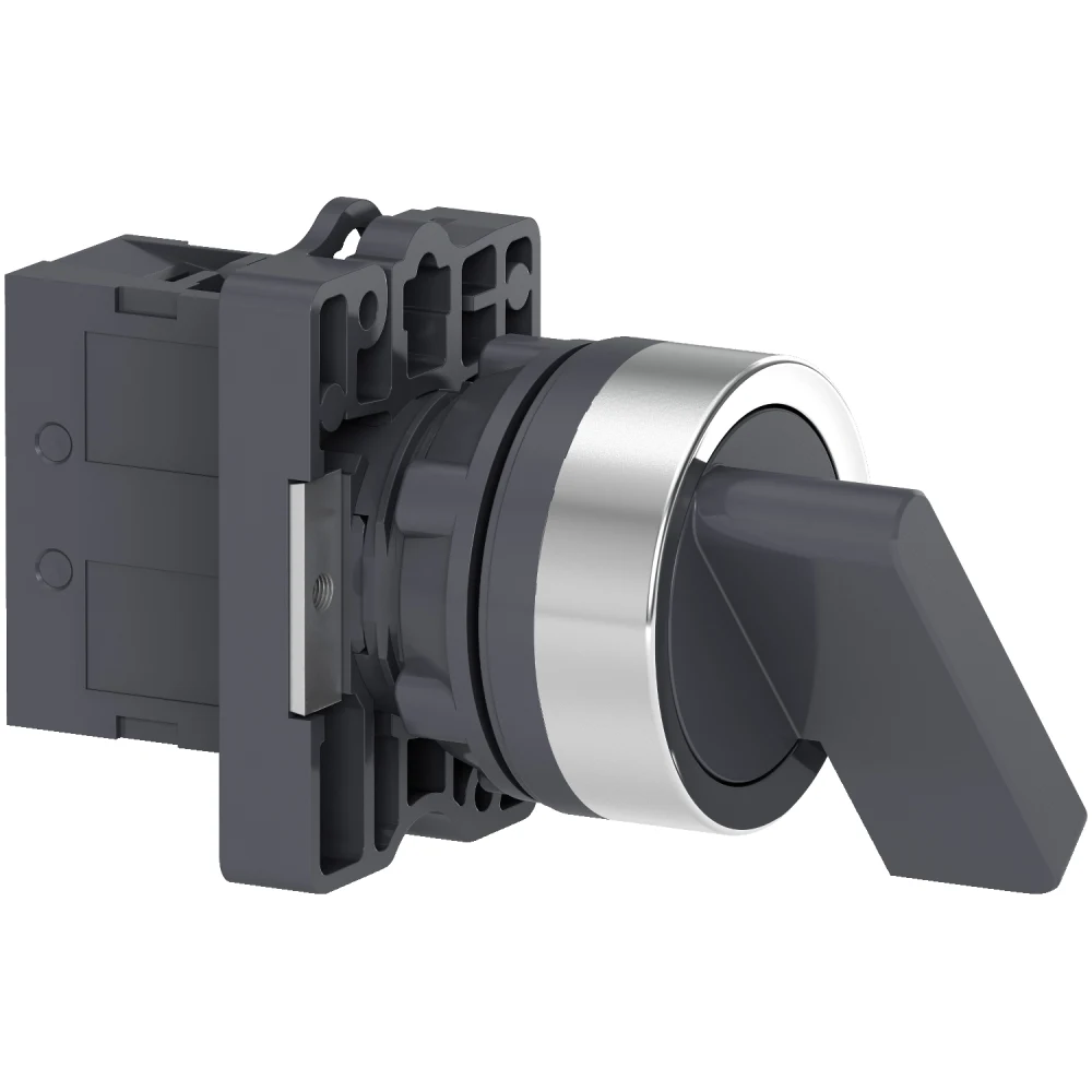 Selector XA2EJ21 2 posiciones fijas negro Schneider